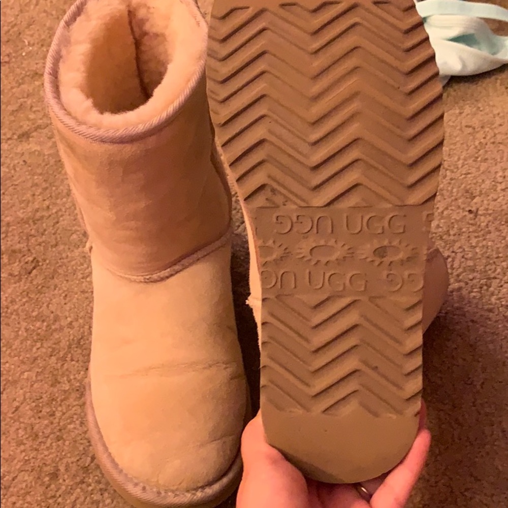 Cream UGGs ✨ Authentic Australian